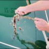 Boatasy Ropecleaner